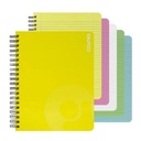 CUADERNO DOBLE ANILLO VIVO 150H 239960 COLORES LINEA